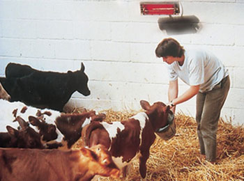 Farming and agriculture